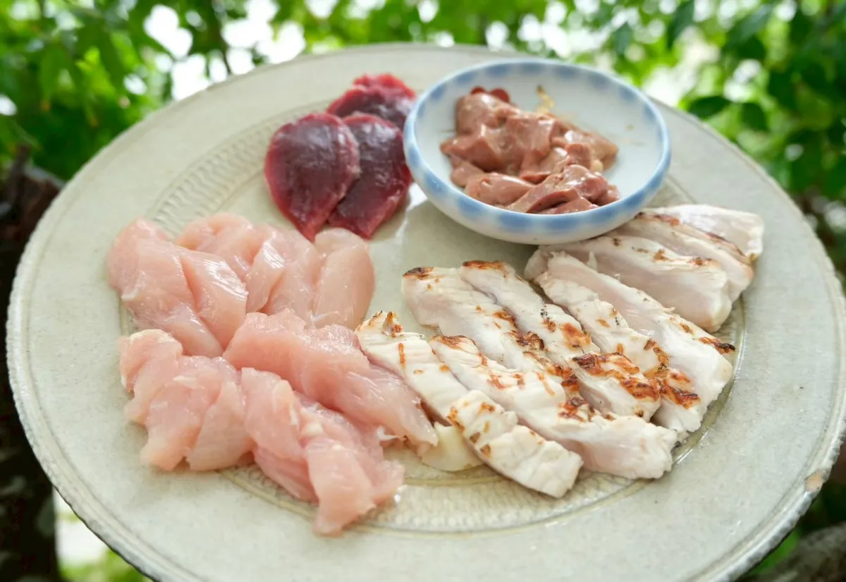 大分県特産の地鶏 豊のしゃも